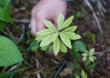 Eko-Sportowa Majówka