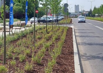 Ulica Okulickiego w&nbsp;Stalowej Woli  już po&nbsp;kapitalnym remoncie