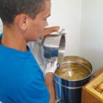 Pracowite pszczoły z pasieki MPWiK Rzeszów 3 - Polskie Radio Rzeszów Pracowite pszczoły z pasieki MPWiK Rzeszów - Polskie Radio Rzeszów