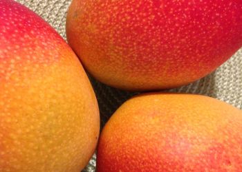 Jakiej żywności nie&nbsp;wolno przywozić z&nbsp;zagranicznej podróży?