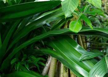 W&nbsp;podkarpackich szkołach powstanie ponad 40 ekopracowni