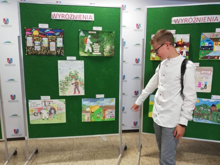 Konkursy KRUS i PIP