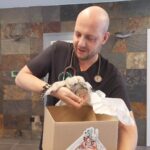 Ratujemy pisklę sokoła pustułki 10 - Polskie Radio Rzeszów Ratujemy pisklę sokoła pustułki - Polskie Radio Rzeszów