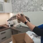 Ratujemy pisklę sokoła pustułki 9 - Polskie Radio Rzeszów Ratujemy pisklę sokoła pustułki - Polskie Radio Rzeszów