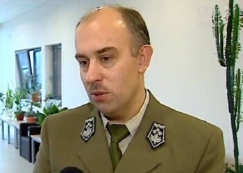 Lasy o&nbsp;charakterze puszczy są&nbsp;najcenniejsze. Rozmowa z&nbsp;dr. Ryszardem Prędkim