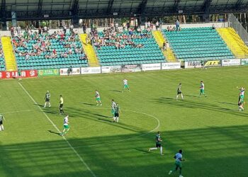 Pewna wygrana Stalówki