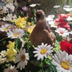 Centrum Natura 2000 w Tarnobrzegu blisko przyrody 10 - Polskie Radio Rzeszów Centrum Natura 2000 w Tarnobrzegu blisko przyrody - Polskie Radio Rzeszów