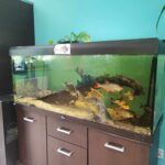 Centrum Natura 2000 w Tarnobrzegu blisko przyrody 13 - Polskie Radio Rzeszów Centrum Natura 2000 w Tarnobrzegu blisko przyrody - Polskie Radio Rzeszów