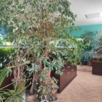 Centrum Natura 2000 w Tarnobrzegu blisko przyrody 4 - Polskie Radio Rzeszów Centrum Natura 2000 w Tarnobrzegu blisko przyrody - Polskie Radio Rzeszów