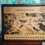 Centrum Natura 2000 w Tarnobrzegu blisko przyrody 17 - Polskie Radio Rzeszów Centrum Natura 2000 w Tarnobrzegu blisko przyrody - Polskie Radio Rzeszów