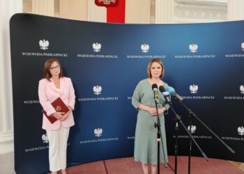 Nowelizacja ustawy o przeciwdziałaniu przemocy domowej