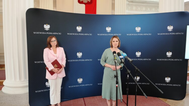 Nowelizacja ustawy o przeciwdziałaniu przemocy domowej