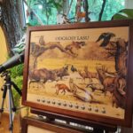 Centrum Natura 2000 w Tarnobrzegu blisko przyrody 14 - Polskie Radio Rzeszów Centrum Natura 2000 w Tarnobrzegu blisko przyrody - Polskie Radio Rzeszów