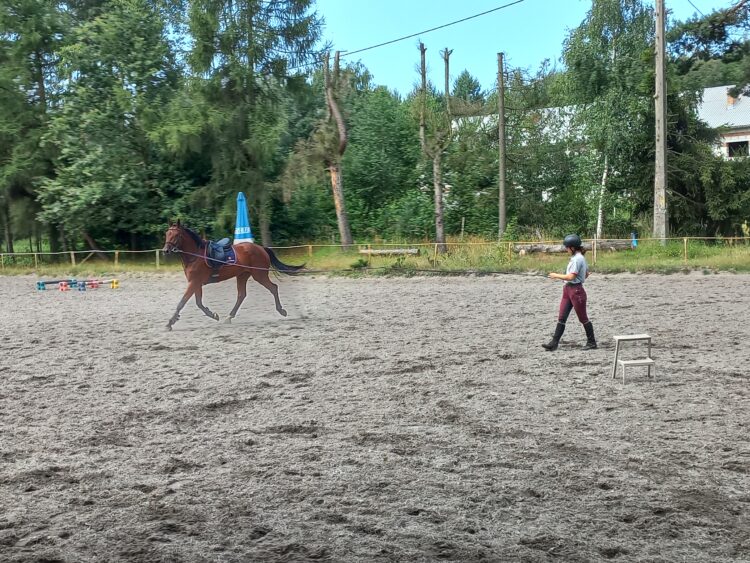 Półkolonie i obozy na półmetku wakacji