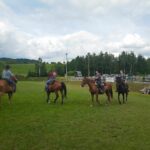 Targi końskie w Lutowiskach - Polskie Radio Rzeszów