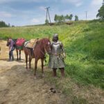 Za nami XIX Powojenne Targi Końskie w Lutowiskach (zdjęcia) 23 - Polskie Radio Rzeszów Za nami XIX Powojenne Targi Końskie w Lutowiskach (zdjęcia) - Polskie Radio Rzeszów