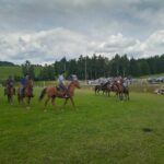 Za nami XIX Powojenne Targi Końskie w Lutowiskach (zdjęcia) 21 - Polskie Radio Rzeszów Za nami XIX Powojenne Targi Końskie w Lutowiskach (zdjęcia) - Polskie Radio Rzeszów