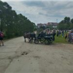 Za nami XIX Powojenne Targi Końskie w Lutowiskach (zdjęcia) 20 - Polskie Radio Rzeszów Za nami XIX Powojenne Targi Końskie w Lutowiskach (zdjęcia) - Polskie Radio Rzeszów