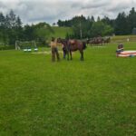 Targi końskie w Lutowiskach - Polskie Radio Rzeszów