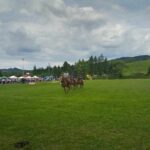 Za nami XIX Powojenne Targi Końskie w Lutowiskach (zdjęcia) 10 - Polskie Radio Rzeszów Za nami XIX Powojenne Targi Końskie w Lutowiskach (zdjęcia) - Polskie Radio Rzeszów