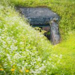 Radio Biwak 25.07 - Twierdza Przemyśl (zdjęcia) 10 - Polskie Radio Rzeszów Radio Biwak 25.07 - Twierdza Przemyśl (zdjęcia) - Polskie Radio Rzeszów