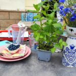 Radio Biwak 07.07 – altana Polskiego Radia Rzeszów (zdjęcia) 6 - Polskie Radio Rzeszów Radio Biwak 07.07 – altana Polskiego Radia Rzeszów (zdjęcia) - Polskie Radio Rzeszów