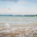 Radio Biwak 31.07 - Jezioro Tarnobrzeskie (zdjęcia) 22 - Polskie Radio Rzeszów Radio Biwak 31.07 - Jezioro Tarnobrzeskie (zdjęcia) - Polskie Radio Rzeszów