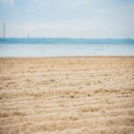 Radio Biwak 31.07 - Jezioro Tarnobrzeskie (zdjęcia) 7 - Polskie Radio Rzeszów Radio Biwak 31.07 - Jezioro Tarnobrzeskie (zdjęcia) - Polskie Radio Rzeszów