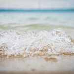 Radio Biwak 31.07 - Jezioro Tarnobrzeskie (zdjęcia) 11 - Polskie Radio Rzeszów Radio Biwak 31.07 - Jezioro Tarnobrzeskie (zdjęcia) - Polskie Radio Rzeszów