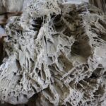 Radio Biwak 10.07 - park zdrojowy w Horyńcu Zdroju (zdjęcia) 32 - Polskie Radio Rzeszów Radio Biwak 10.07 - park zdrojowy w Horyńcu Zdroju (zdjęcia) - Polskie Radio Rzeszów