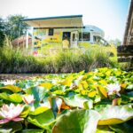 Radio Biwak 15.07 - Kuńkowce koło Przemyśla (zdjęcia) - Polskie Radio Rzeszów