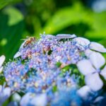 Radio Biwak 18.07 - ogród aktorki Małgorzaty Machowskiej (zdjęcia) 3 - Polskie Radio Rzeszów Radio Biwak 18.07 - ogród aktorki Małgorzaty Machowskiej (zdjęcia) - Polskie Radio Rzeszów