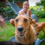 Radio Biwak 18.07 - ogród aktorki Małgorzaty Machowskiej (zdjęcia) 11 - Polskie Radio Rzeszów Radio Biwak 18.07 - ogród aktorki Małgorzaty Machowskiej (zdjęcia) - Polskie Radio Rzeszów