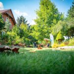 Radio Biwak 18.07 - ogród aktorki Małgorzaty Machowskiej (zdjęcia) 36 - Polskie Radio Rzeszów Radio Biwak 18.07 - ogród aktorki Małgorzaty Machowskiej (zdjęcia) - Polskie Radio Rzeszów