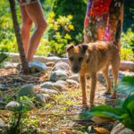 Radio Biwak 18.07 - ogród aktorki Małgorzaty Machowskiej (zdjęcia) 12 - Polskie Radio Rzeszów Radio Biwak 18.07 - ogród aktorki Małgorzaty Machowskiej (zdjęcia) - Polskie Radio Rzeszów