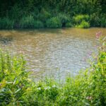 Radio Biwak 18.07 - ogród aktorki Małgorzaty Machowskiej (zdjęcia) 27 - Polskie Radio Rzeszów Radio Biwak 18.07 - ogród aktorki Małgorzaty Machowskiej (zdjęcia) - Polskie Radio Rzeszów