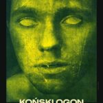 "Koński ogon" debiut fabularny Justyny Łuczaj-Salej - Polskie Radio Rzeszów