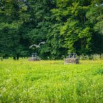 Radio Biwak 25.07 - Twierdza Przemyśl (zdjęcia) 14 - Polskie Radio Rzeszów Radio Biwak 25.07 - Twierdza Przemyśl (zdjęcia) - Polskie Radio Rzeszów