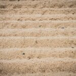 Radio Biwak 31.07 - Jezioro Tarnobrzeskie (zdjęcia) 19 - Polskie Radio Rzeszów Radio Biwak 31.07 - Jezioro Tarnobrzeskie (zdjęcia) - Polskie Radio Rzeszów