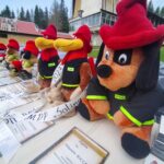 Szkolenie Młodzieżowych Drużyn Pożarniczych w Bieszczadach - Polskie Radio Rzeszów