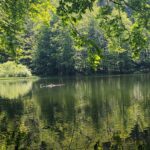 Jeziorka Duszatyńskie - malownicze miejsce w Bieszczadach (zdjęcia) 19 - Polskie Radio Rzeszów Jeziorka Duszatyńskie - malownicze miejsce w Bieszczadach (zdjęcia) - Polskie Radio Rzeszów