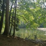 Jeziorka Duszatyńskie - malownicze miejsce w Bieszczadach (zdjęcia) 20 - Polskie Radio Rzeszów Jeziorka Duszatyńskie - malownicze miejsce w Bieszczadach (zdjęcia) - Polskie Radio Rzeszów