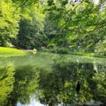 Jeziorka Duszatyńskie - malownicze miejsce w Bieszczadach (zdjęcia) 24 - Polskie Radio Rzeszów Jeziorka Duszatyńskie - malownicze miejsce w Bieszczadach (zdjęcia) - Polskie Radio Rzeszów