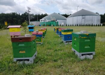 Biogazownie i biopaliwa zapewnią wsparcie rolnikom