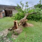 Gwałtowne burze w regionie. Trąba powietrzna uderzyła w Wierzawice (zdjęcia) - Polskie Radio Rzeszów