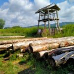 Powstaje Osada Słowiańska nad Zalewem Strzegocickim (zdjęcia) 2 - Polskie Radio Rzeszów Powstaje Osada Słowiańska nad Zalewem Strzegocickim (zdjęcia) - Polskie Radio Rzeszów