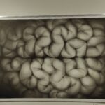 Wystawa w Instytucie Sztuk Pięknych UR na koniec roku akademickiego 14 - Polskie Radio Rzeszów Wystawa w Instytucie Sztuk Pięknych UR na koniec roku akademickiego - Polskie Radio Rzeszów