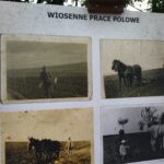 Dzień Otwartych Drzwi Zagrody w Markowej (fotogaleria) 21 - Polskie Radio Rzeszów Dzień Otwartych Drzwi Zagrody w Markowej (fotogaleria) - Polskie Radio Rzeszów