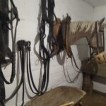 Dzień Otwartych Drzwi Zagrody w Markowej (fotogaleria) 8 - Polskie Radio Rzeszów Dzień Otwartych Drzwi Zagrody w Markowej (fotogaleria) - Polskie Radio Rzeszów