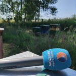 Miodobranie 2 - Polskie Radio Rzeszów Miodobranie - Polskie Radio Rzeszów